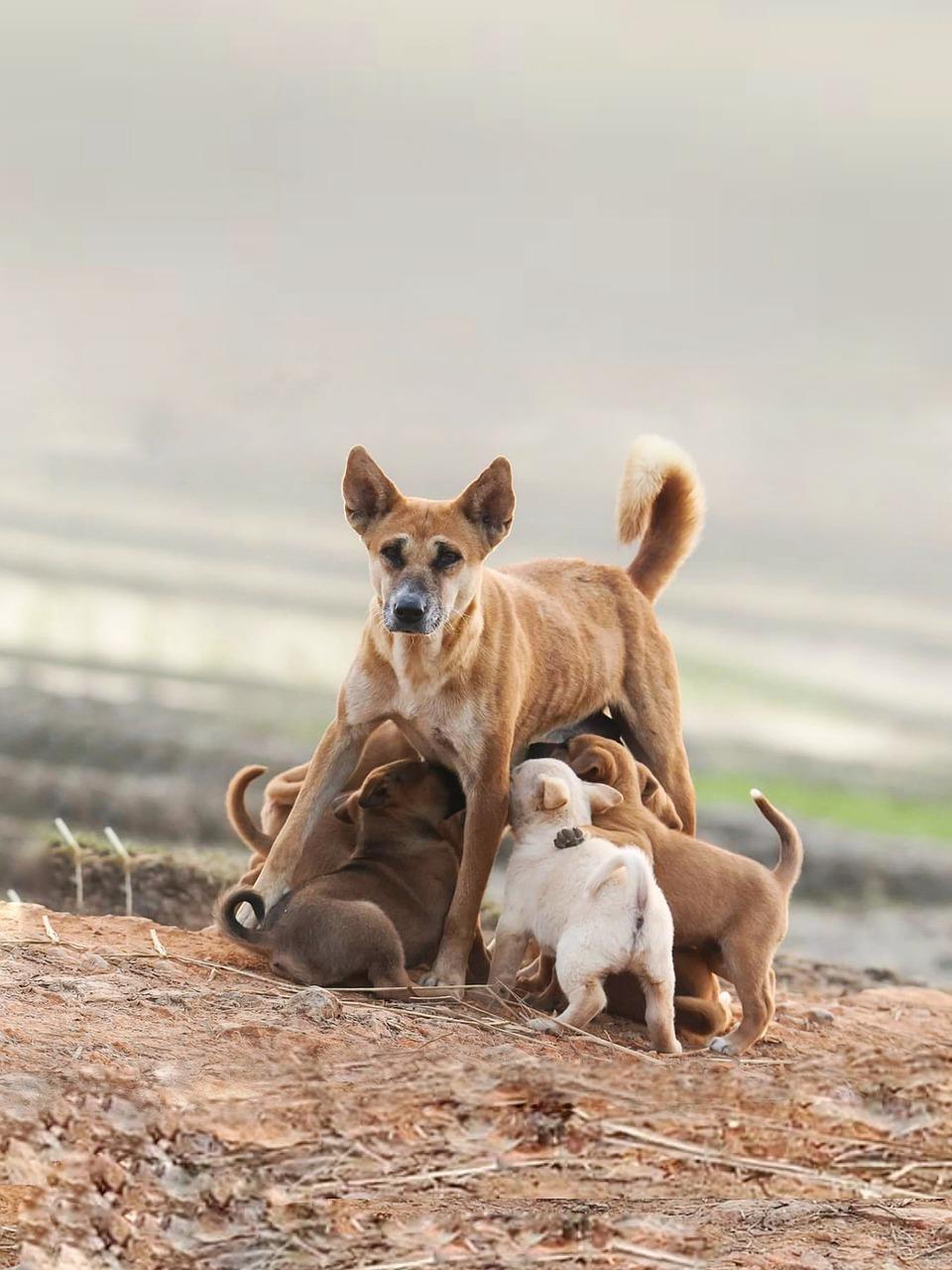 4. 定期健康检查