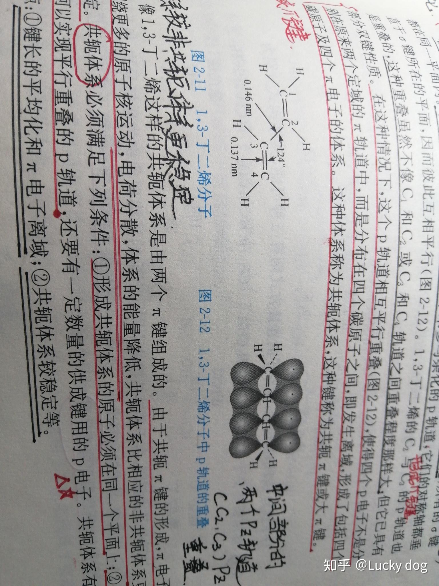 碳原子的轨道形状怎么画