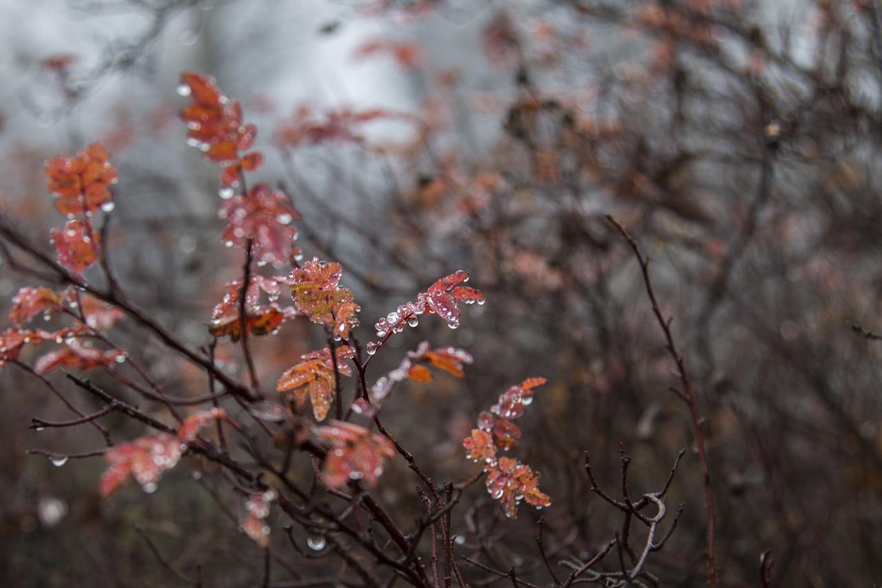 3. 空调过滤网堵塞