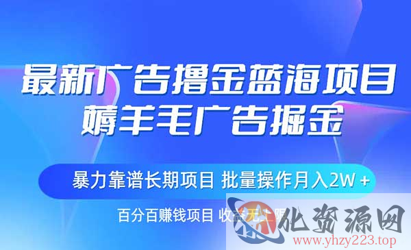 最新广告撸金蓝海项目，薅羊毛广告掘金_wwz