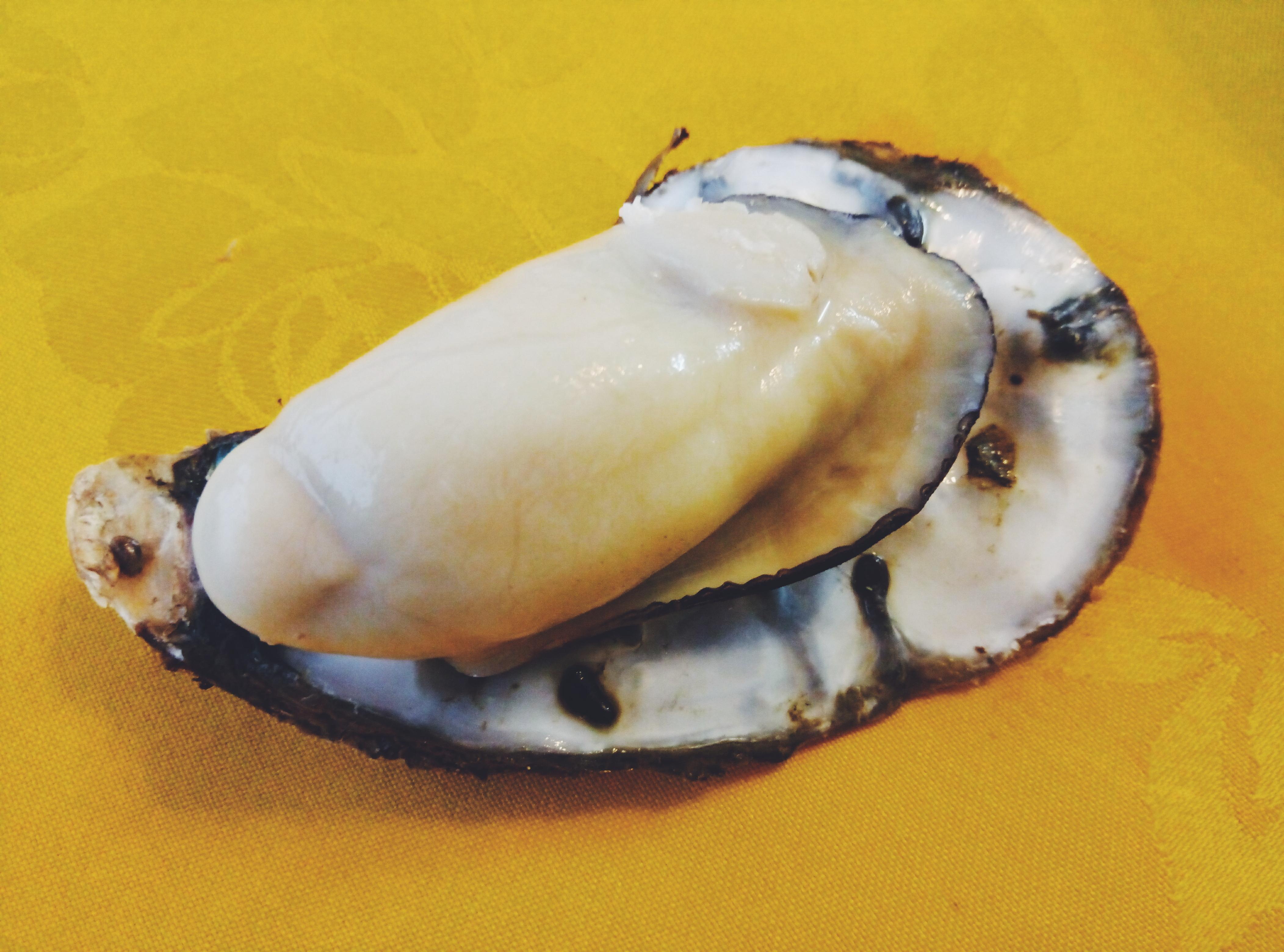牡蛎(生蚝)都可以怎么吃? - 蚝仔煎蛋窍门 - 实验室设备网