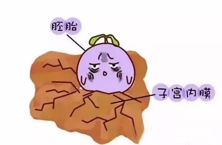 试管如何改善子宫内膜容受性