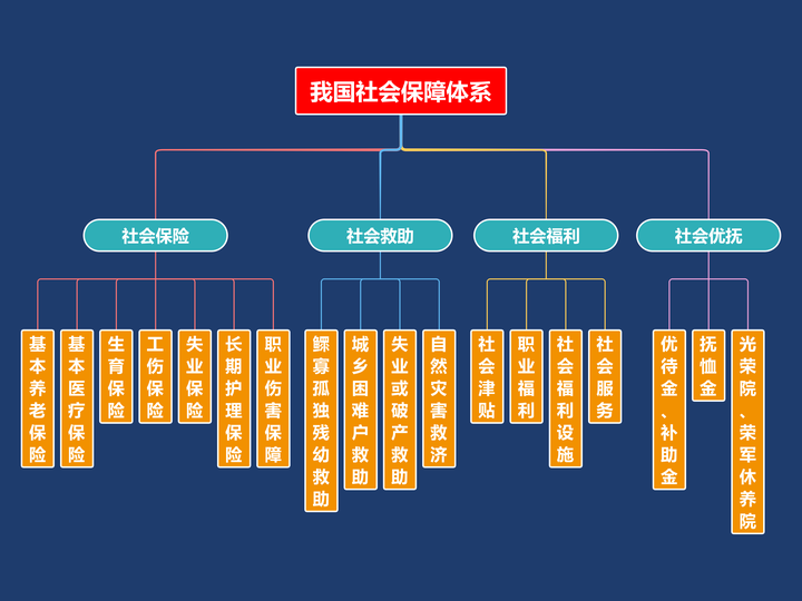 一文读懂我国社会保障体系国家的羊毛你确定不薅