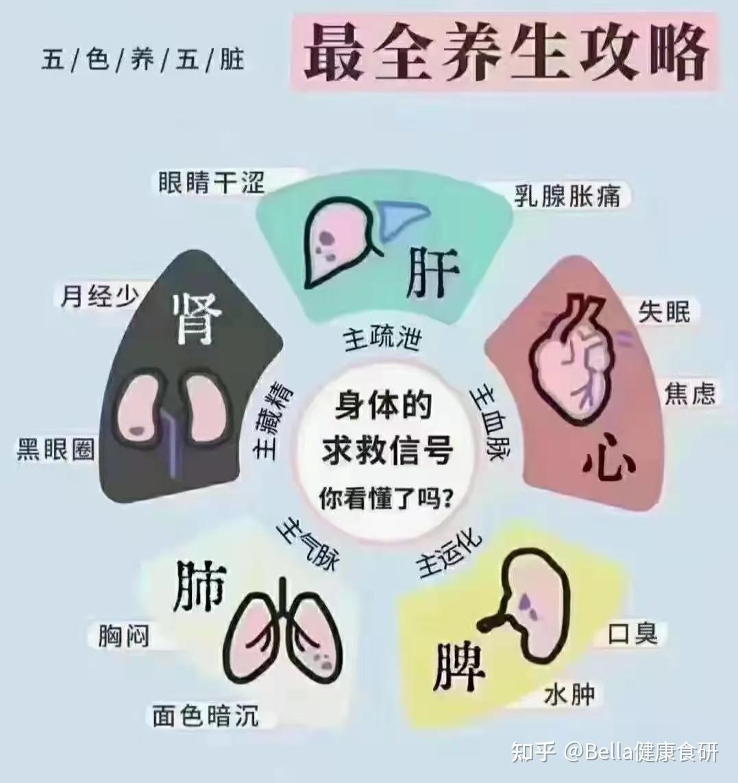 哪些食物可以调理脾虚? - 知乎