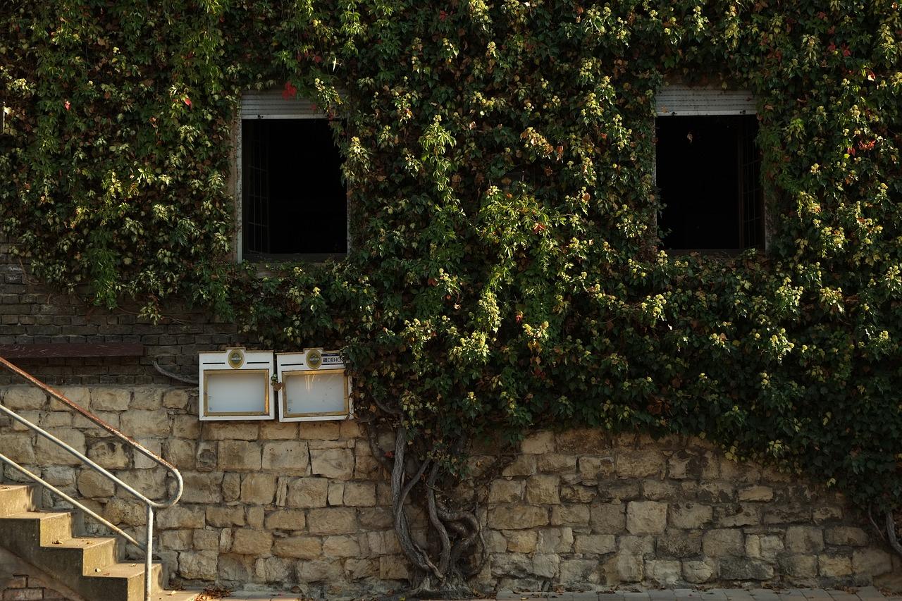 老城区租房攻略