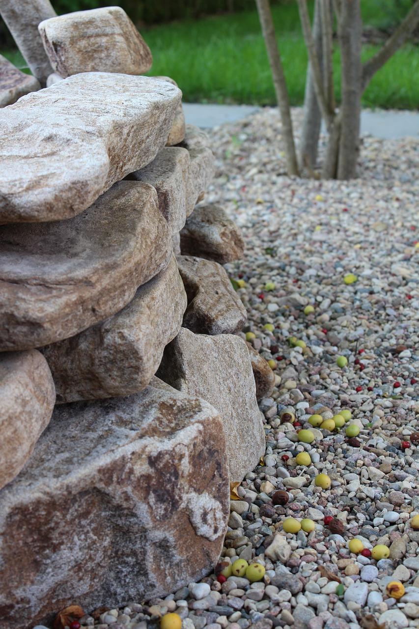 植树行动，从我做起