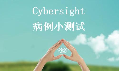 Cybersight 2022 22 Cybersight 2022 22
