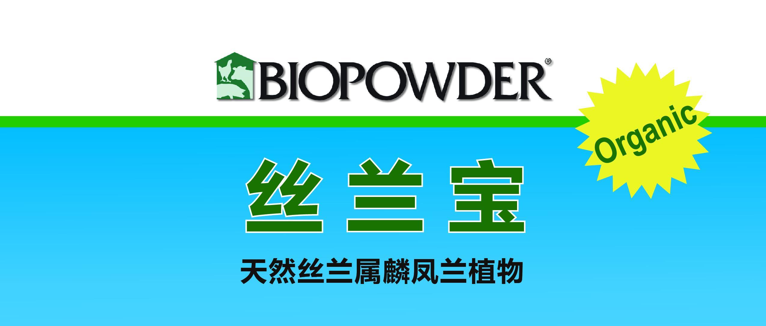 丝兰宝丝兰属麟凤兰全植株产品