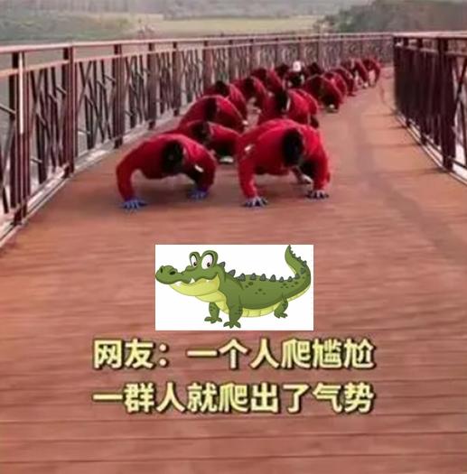鳄鱼爬一种独特健身锻炼方式的医学与养生视角综合评析
