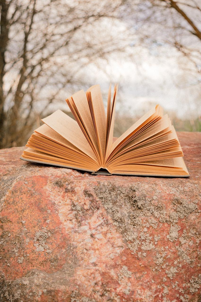 5. 物业管理评价