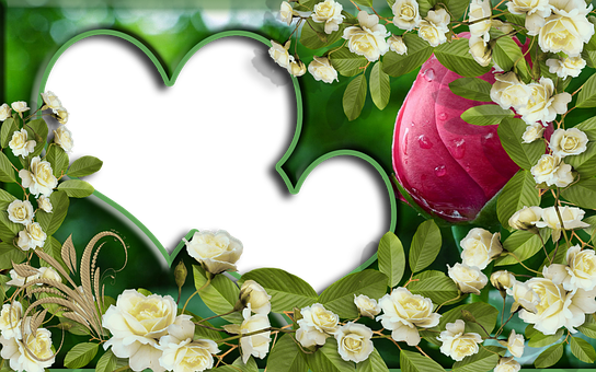 家里荷花画挂哪里好