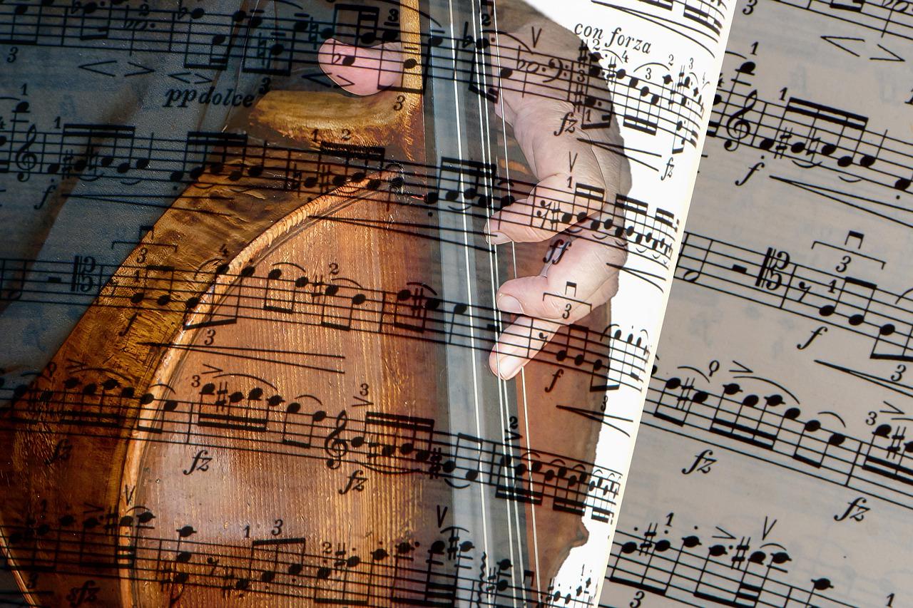 大提琴什么牌子好