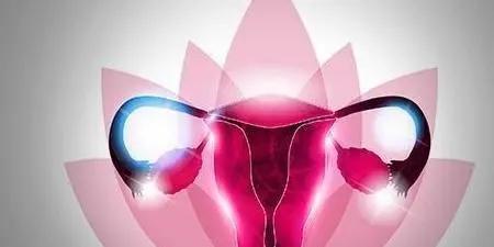 中医治疗子宫肌瘤到底靠不靠谱？ - 知乎