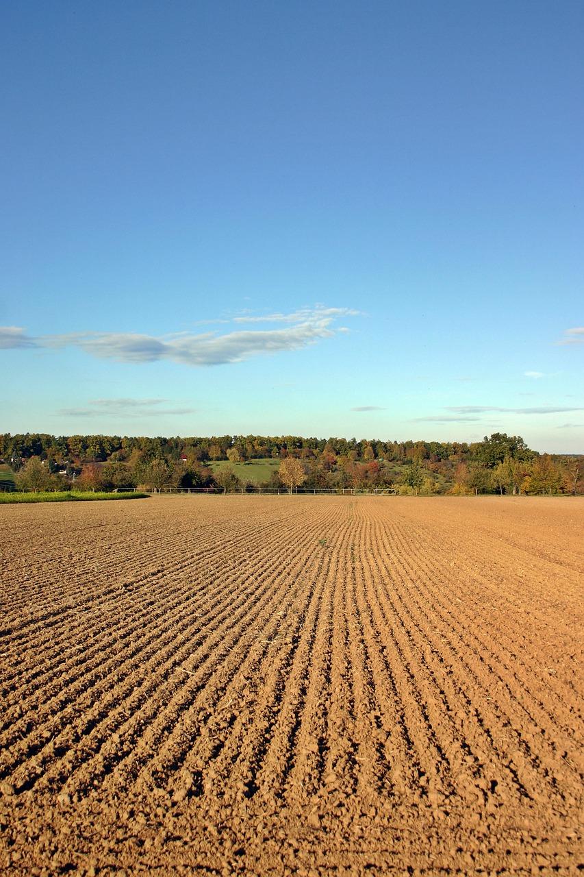 4. 绿地造价分析