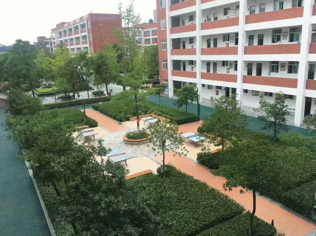 在绵阳中学实验学校读书是一种怎样的体验? - 知乎
