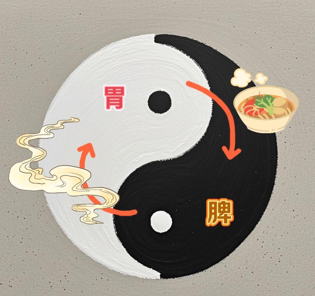 脾胃虚弱该如何调养? - 知乎