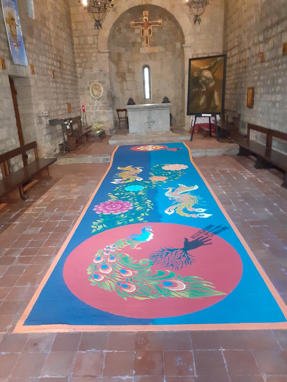 地毯香波属于什么性