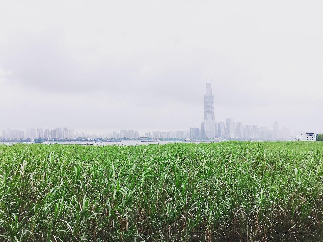 中南汽车多少线