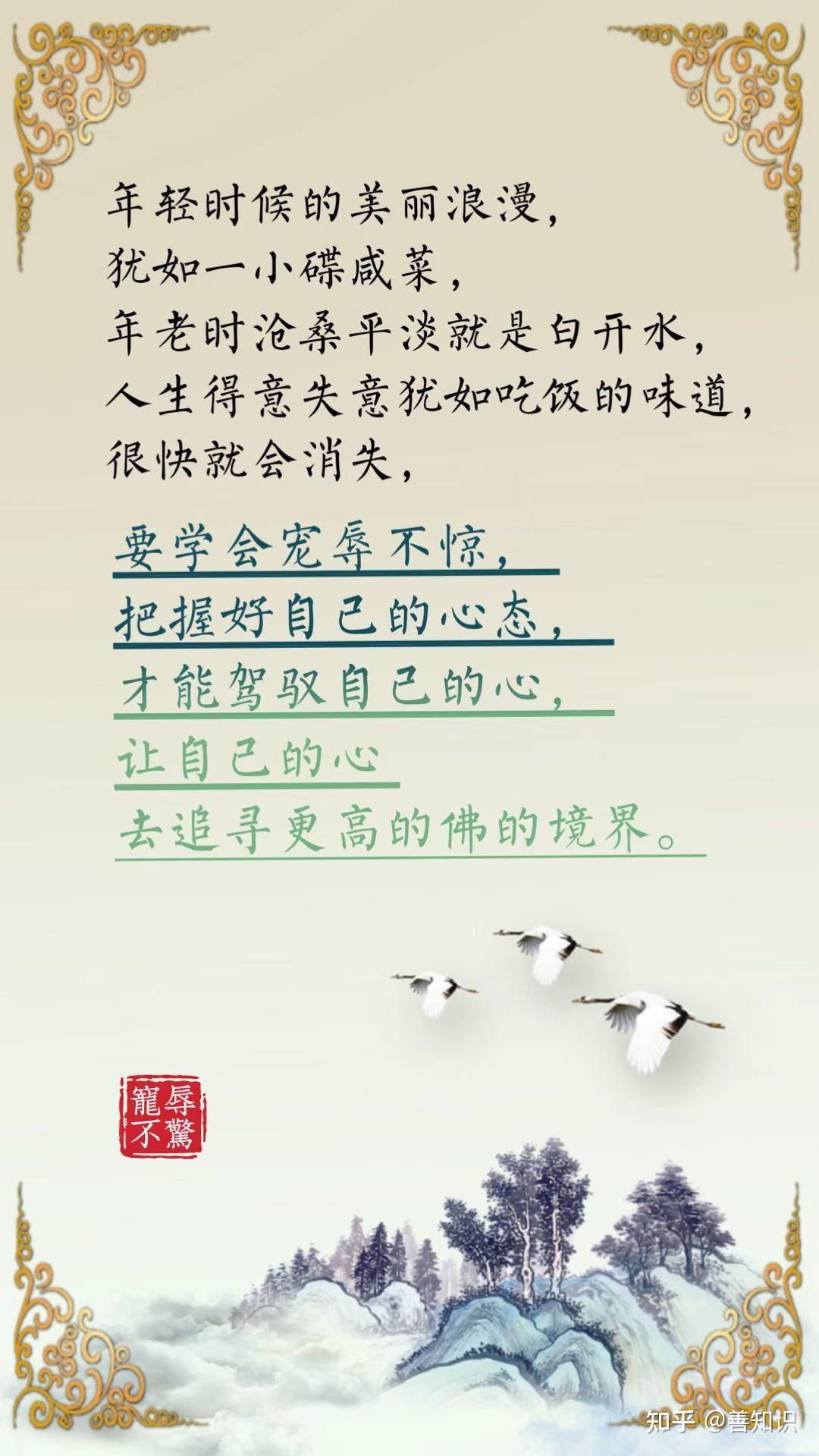 茅塞顿开( 茅塞顿开是什么意思解释一下 )