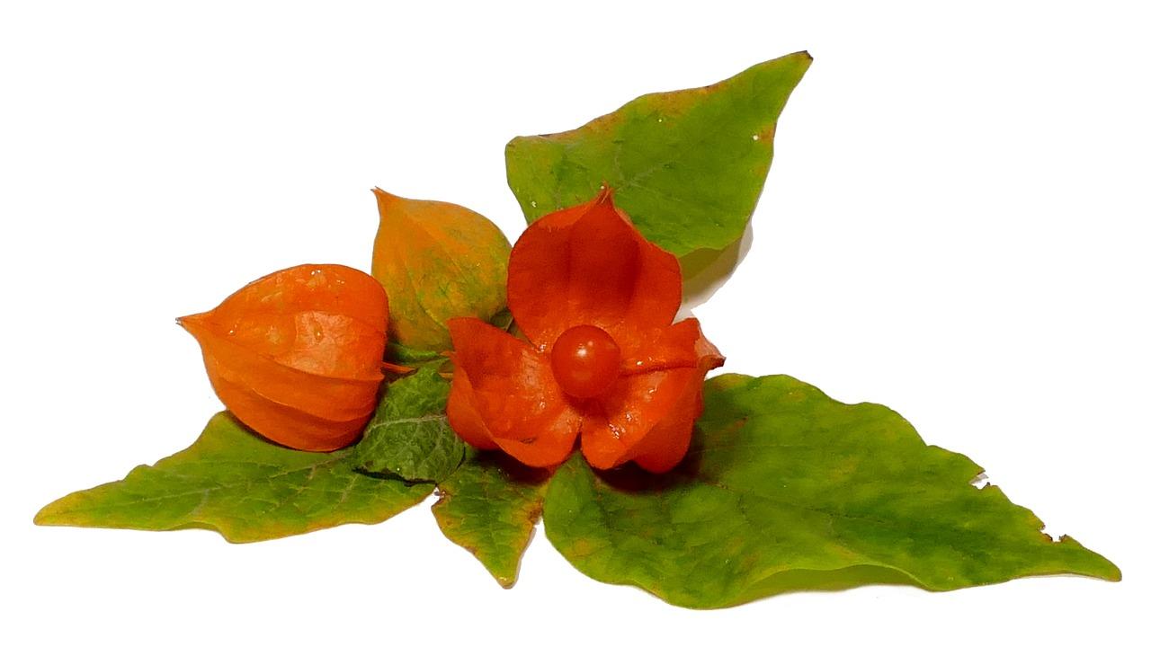 3. 精选豆类制作