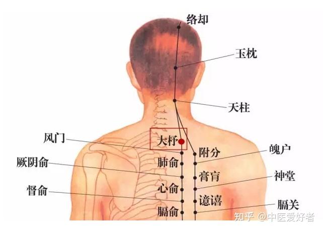 中医教你:按痛点、辨健康 - 知乎
