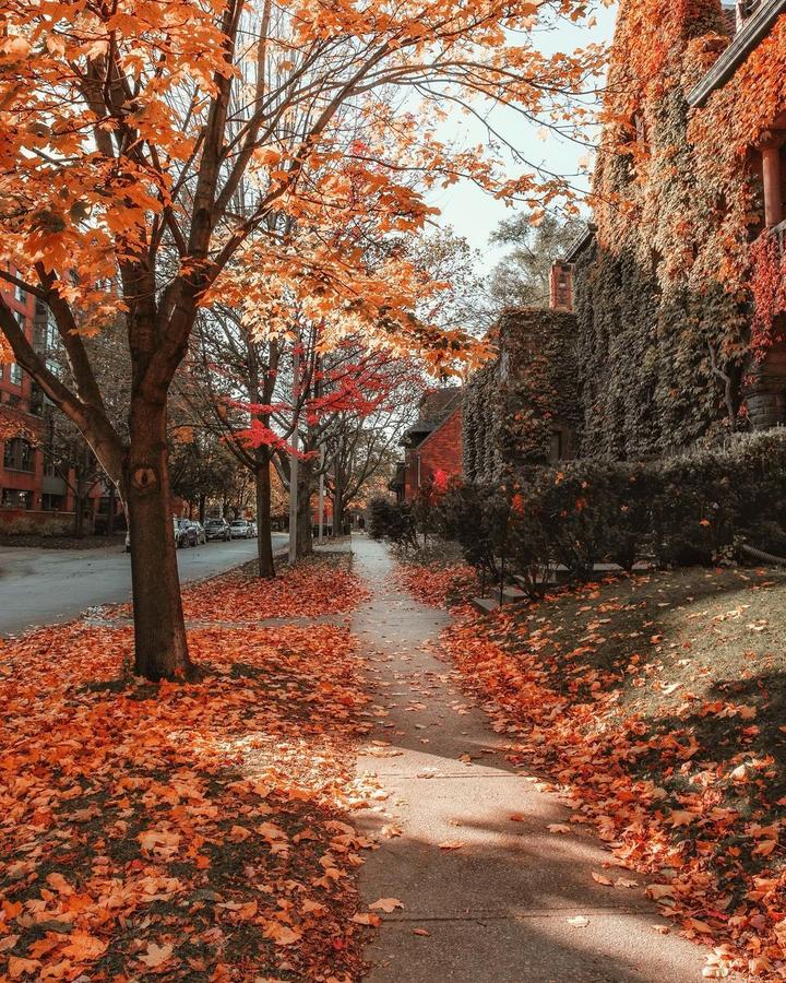 你有巴黎梦吗谁爱旅游的心飞走了海航重庆巴黎国际航线1128正式启航