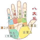 动图封面