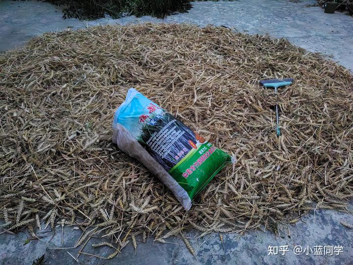 人，可以废物到什么程度？