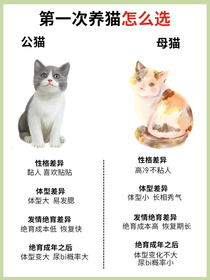 🐱公猫or母猫,谁才是你的本命猫 - 知乎