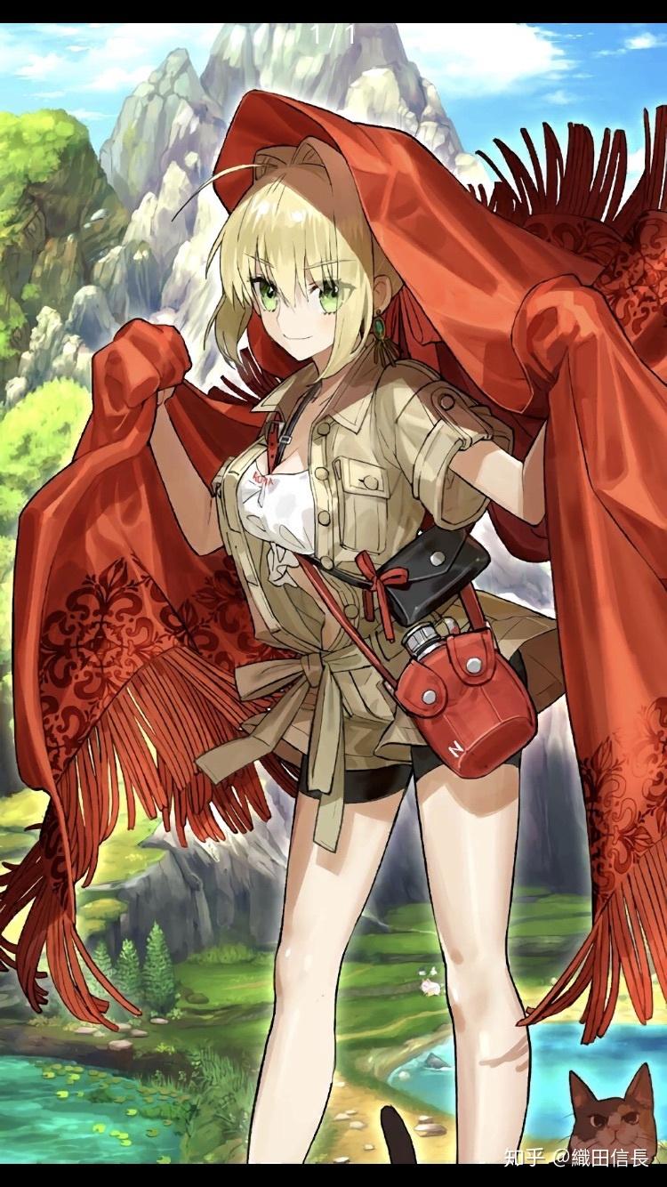 如何评价给fate系列供稿的画师wada的画技和作品