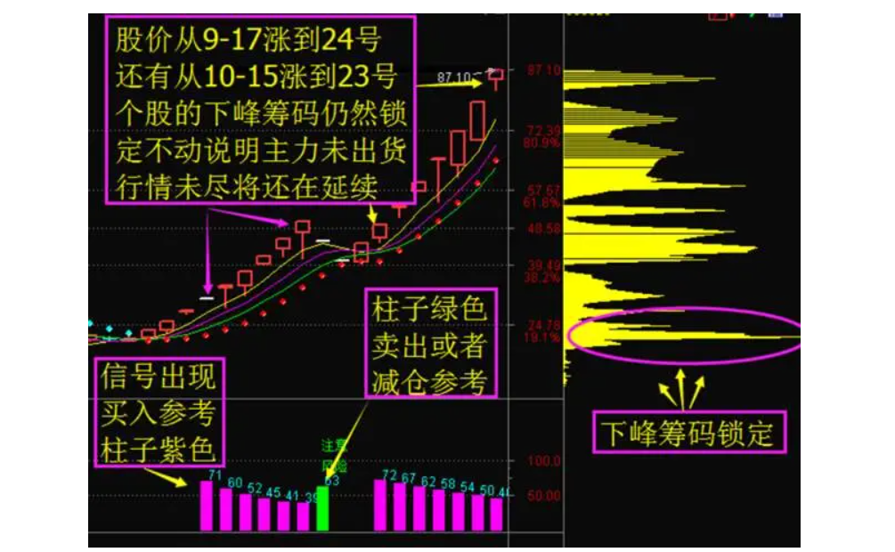 筹码选股器图片