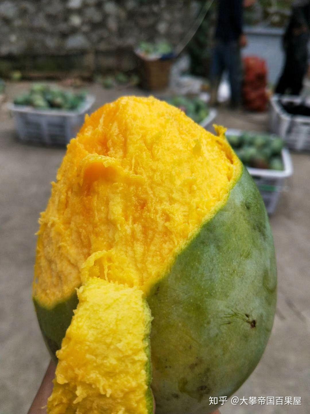攀枝花芒果部分品种介绍及实体店挑选技巧 - 知乎