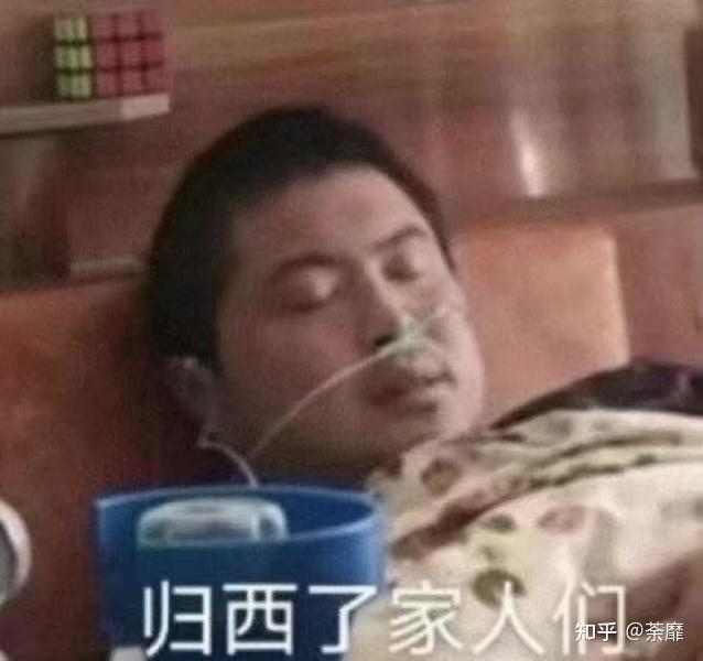 快手徒步丽丽表情包图片