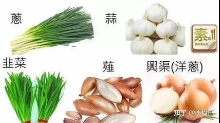 荤到底是什么 - 知乎