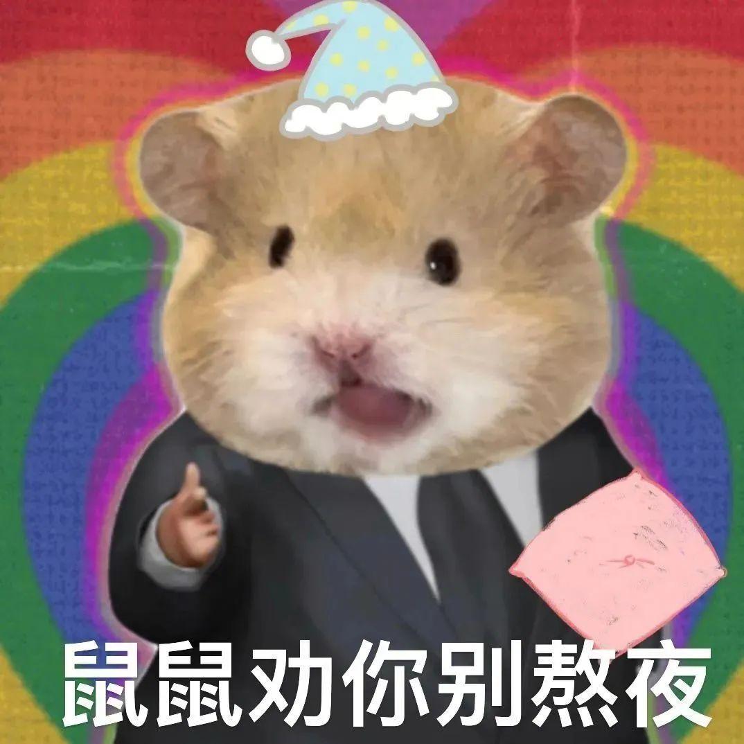 沙雕搞笑表情包合集有没有这一类的沙雕又可爱的表情包?