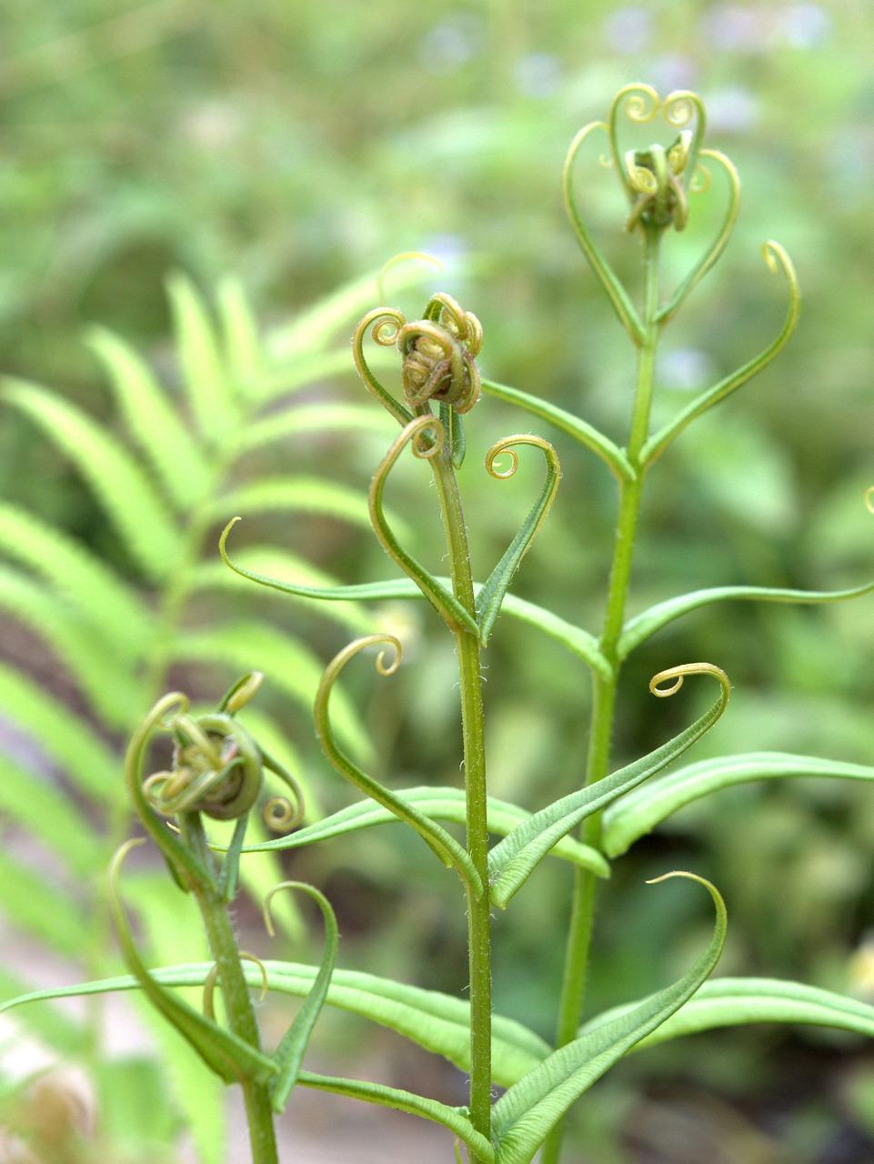 4. 浇水频率指导