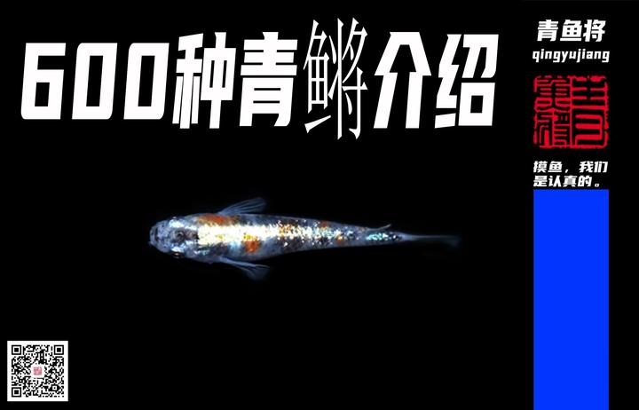 观背青鳉品种编号表 - 知乎