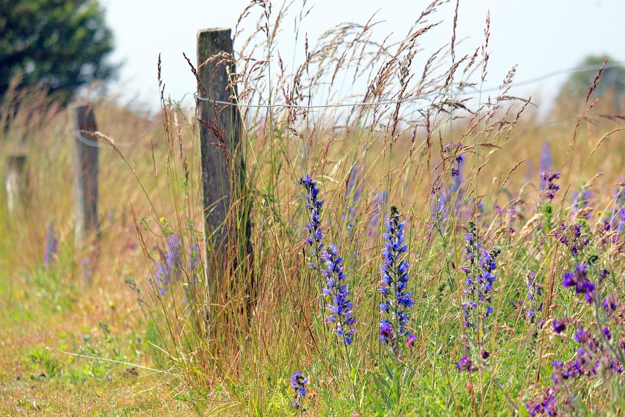 4. 生活配套完善