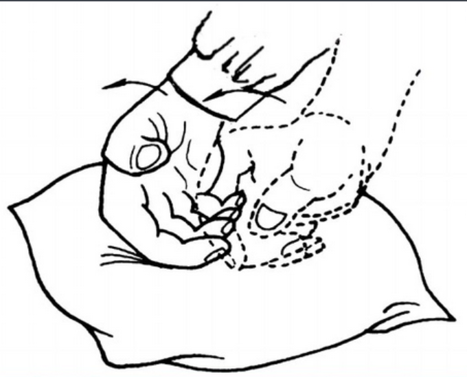 关于推拿的滚法与一指禅的异同点? - 知乎