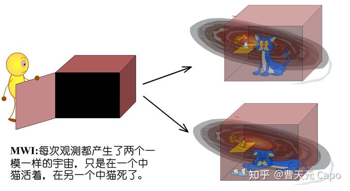 多世界中的薛定谔猫