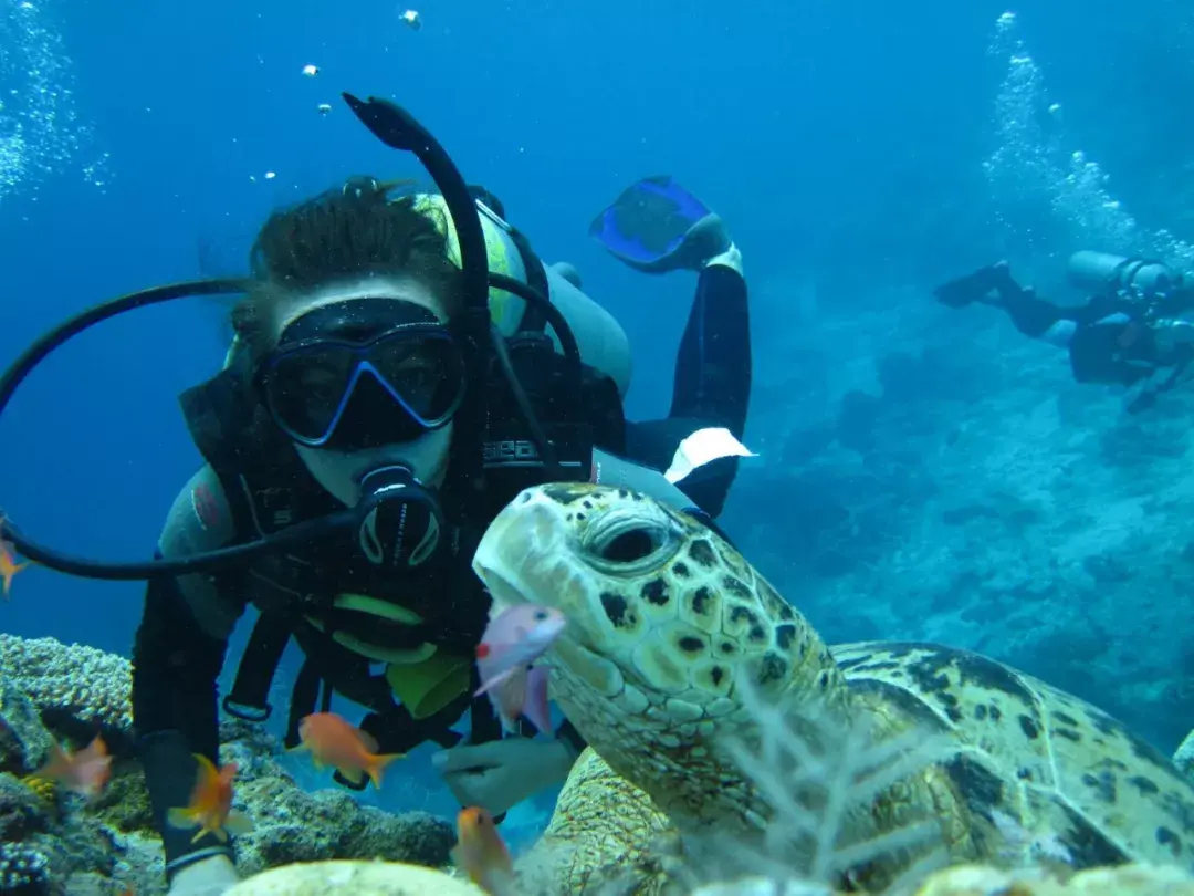 这个世界上有哪些适合蜜月旅行的地方?