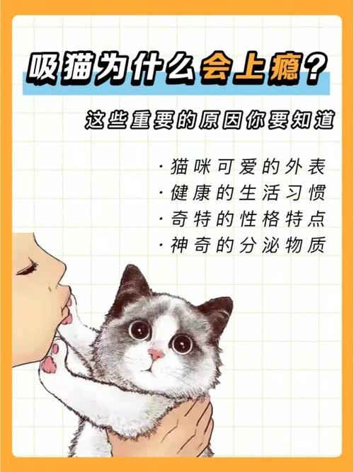 吸猫上瘾原理:吸猫为什么会上瘾?这些重要的原因你要知道 - 知乎