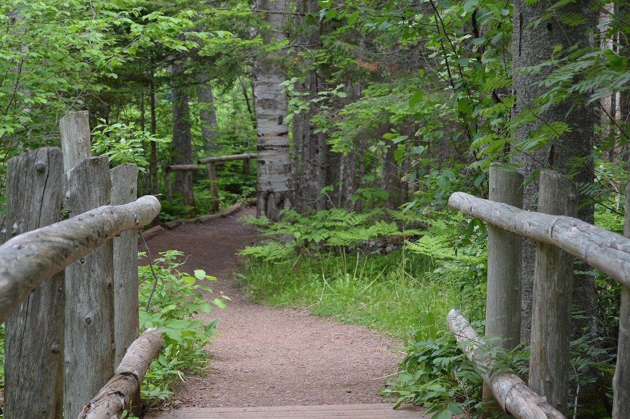 5. 社区环境评价