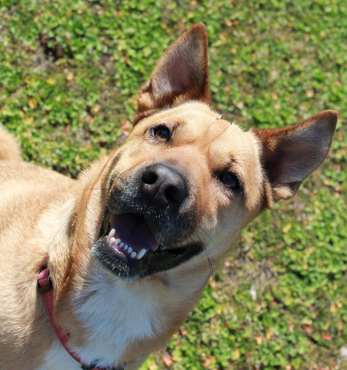 5. 投资回报分析