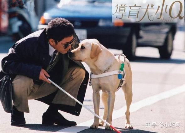 有哪些关于狗狗的影视剧推荐? - 知乎
