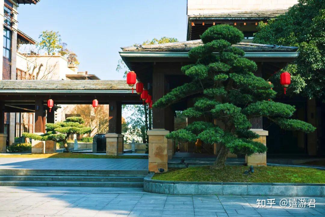 浙江临海:从人均50吃到人均1000,去打卡新荣记元宇宙