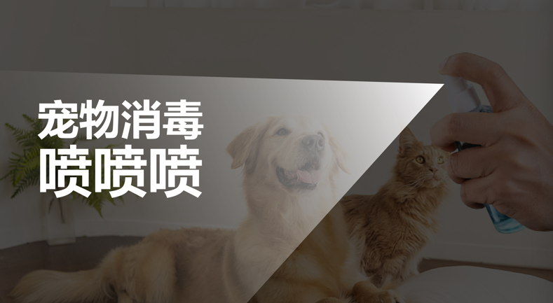 新品牌红海突围记：雾净何以成为喷雾消毒破局者？