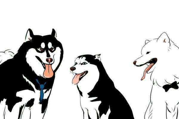 雪橇"三傻",你最中意谁?