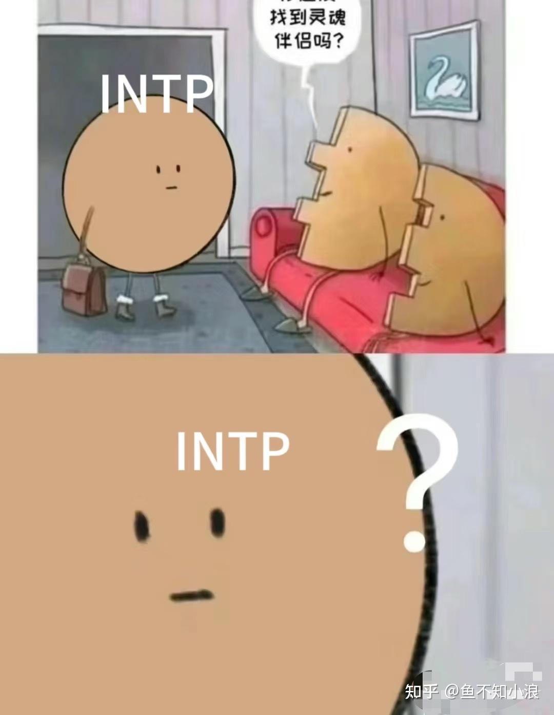 MBTI紫人组：“君向潇湘我向秦”——INTJ和INTP的共情能力 - 知乎
