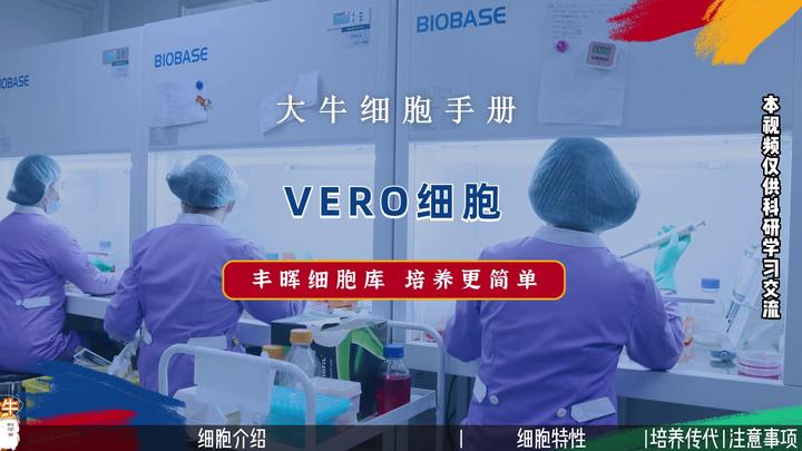 为什么全球越来越多的国家开始推广Vero细胞狂犬疫苗知道的说下 知乎